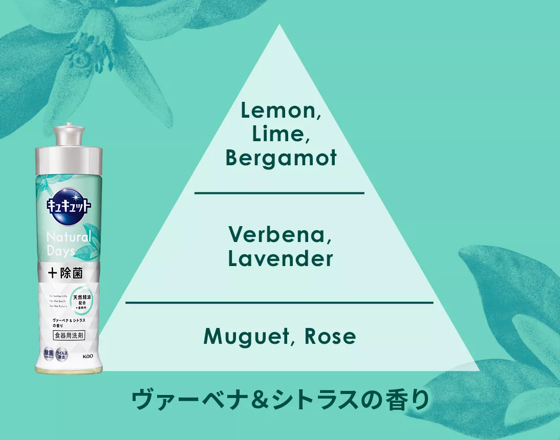 花王株式会社 | キュキュット | キュキュットシリーズ