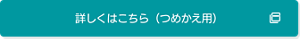 詳しくはこちら→薬用 泡洗顔料130mlのつめかえタイプ（外部サイトへ遷移します）