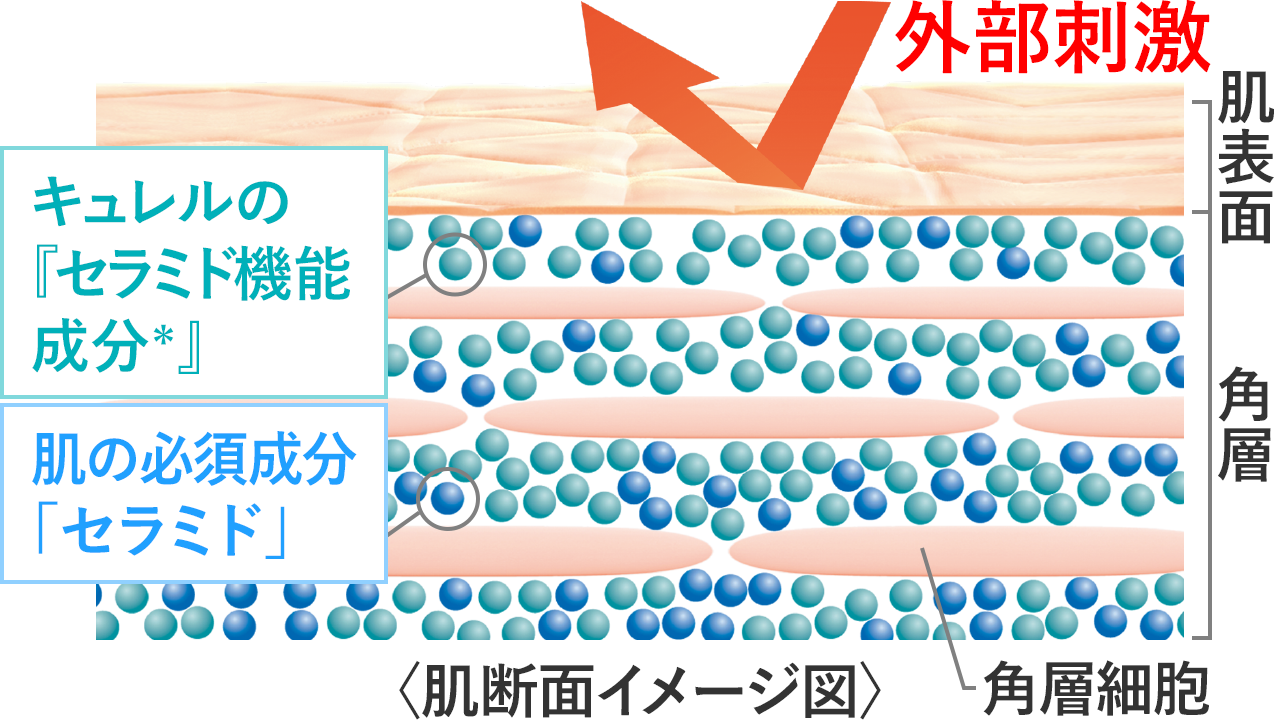 Uvカットシリーズの特長 Uvカットシリーズの特長