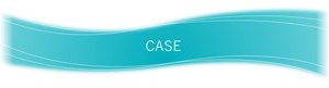 CASE