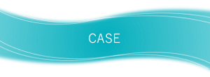 CASE