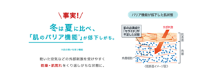 事実！冬は夏に比べ、「肌のバリア機能※」が低下しがち。※肌の潤いを保つ機能 乾いた空気などの外部刺激を受けやすく 乾燥・肌荒れをくり返しがちな状態に。