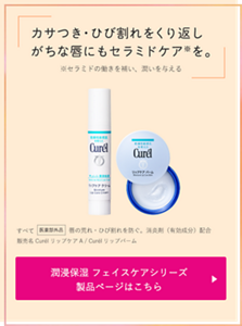 カサつき・ひび割れをくり返しがちな 唇にもセラミドケア※を。 ※セラミドの働きを補い、潤いを与える すべて　医薬部外品　唇の荒れ・ひび割れを防ぐ。消炎剤（有効成分）配合 販売名 CurélリップケアA / Curélリップバーム 潤浸保湿 フェイスケアシリーズ 製品ページはこちら （外部サイトへ遷移します）