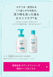 カサつき・肌荒れをくり返しがちな肌は、 洗う時も洗った後も セラミドケア※を ※セラミドを守って洗うケア／セラミドの働きを補い、潤いを与えるケア すべて　医薬部外品　肌荒れを防ぐ（消炎剤配合） 販売名 CurélボディウォッシュBa / CurélローションＢ 潤浸保湿 ボディケアシリーズ 製品ページはこちら （外部サイトへ遷移します）