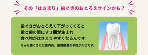 その「はさまり」歯ぐきのおとろえサインかも？　歯ぐきがおとろえて下がってくると歯と歯の間にすき間が生まれ食べ物がはさまりやすくなるんです。そんな歯ぐきには歯肉炎、歯槽膿漏の予防が大切です。