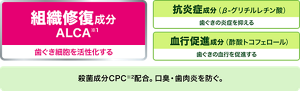 組織修復成分 ALCA(※1)：歯ぐき細胞を活性化する／抗炎症成分（β-グリチルレチン酸）：歯ぐきの炎症を抑える／血行促進成分（酢酸トコフェロール）：歯ぐきの血行を促進する／殺菌成分 CPC(※2)配合。口臭・歯肉炎を防ぐ。