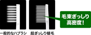毛束ぎっしり高密度！