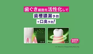 歯ぐき細胞を活性化して歯槽膿漏予防 ＋口臭予防 細胞修復成分配合
