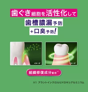 歯ぐき細胞を活性化して歯槽膿漏予防 ＋口臭予防 細胞修復成分配合