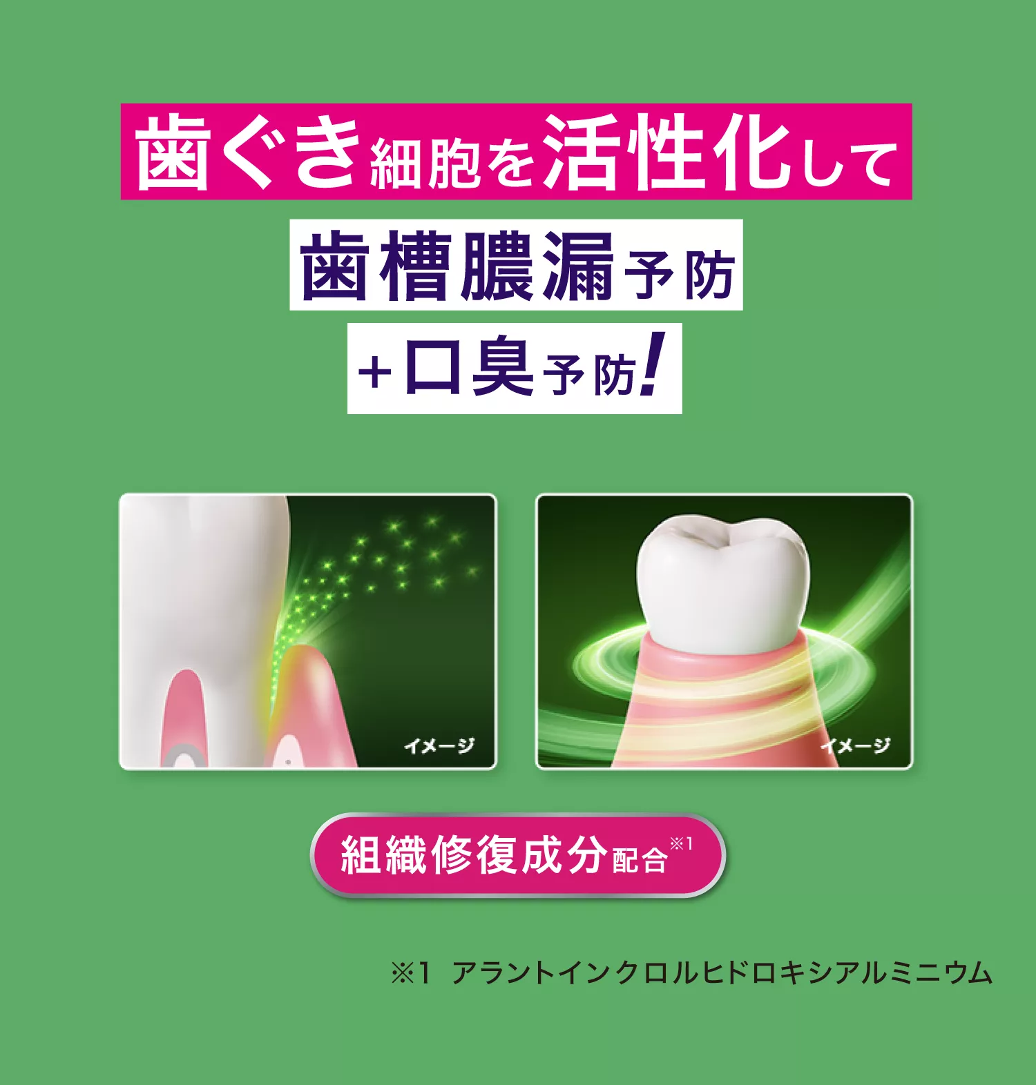 薬用ハミガキ | ディープクリーン | 花王株式会社