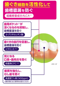 歯ぐき細胞を活性化して歯槽膿漏を防ぐ 歯周ポケットが深くなるのを抑制し、歯槽膿漏を防ぐ 歯ぐきの血行を促進し、歯槽膿漏を防ぐ 気になる口臭・歯肉炎を防ぐ 歯質を強化し、むし歯を防ぐ