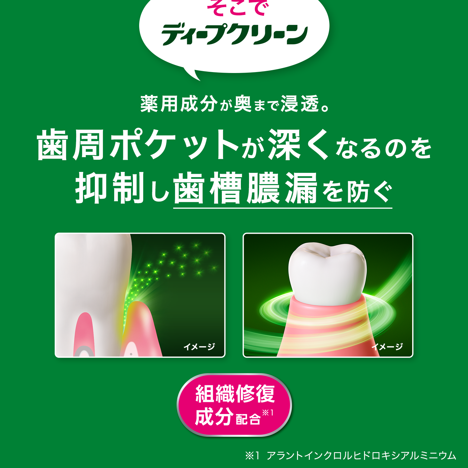 薬用ハミガキ ディープクリーン 花王株式会社