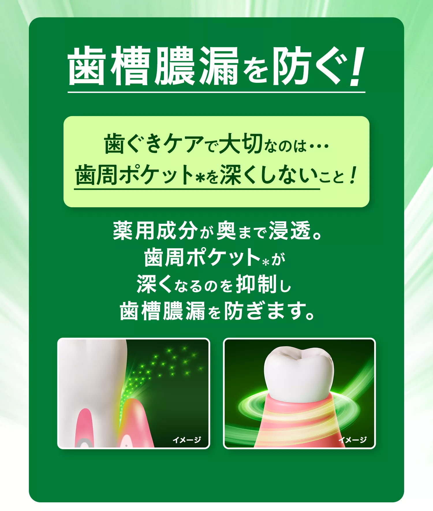 薬用ハミガキ 口臭ケア | ディープクリーン | 花王株式会社