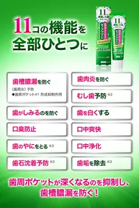 11コの機能を全部ひとつに。歯槽膿漏を防ぐ（歯周炎）予防 ⚫︎歯周ポケット(※1) 形成抑制作用／歯がしみるのを防ぐ／口臭防止／歯のやにをとる(※3)／歯石沈着予防(※3)／歯肉炎を防ぐ／むし歯予防(※2)／歯を白くする／口中爽快／口中浄化／歯垢を除去(※3)。歯周ポケット(※1)が深くなるのを抑制し、歯槽膿漏を防ぐ！
