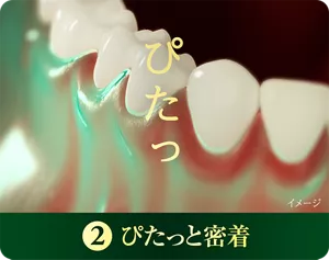 2. ぴたっと密着