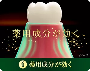 4. 薬用成分が効く