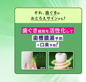 それ、歯ぐきのおとろえサインかも！ 歯ぐき細胞を活性化して歯槽膿漏予防 ＋口臭予防！
