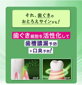 それ、歯ぐきのおとろえサインかも！ 歯ぐき細胞を活性化して歯槽膿漏予防 ＋口臭予防！