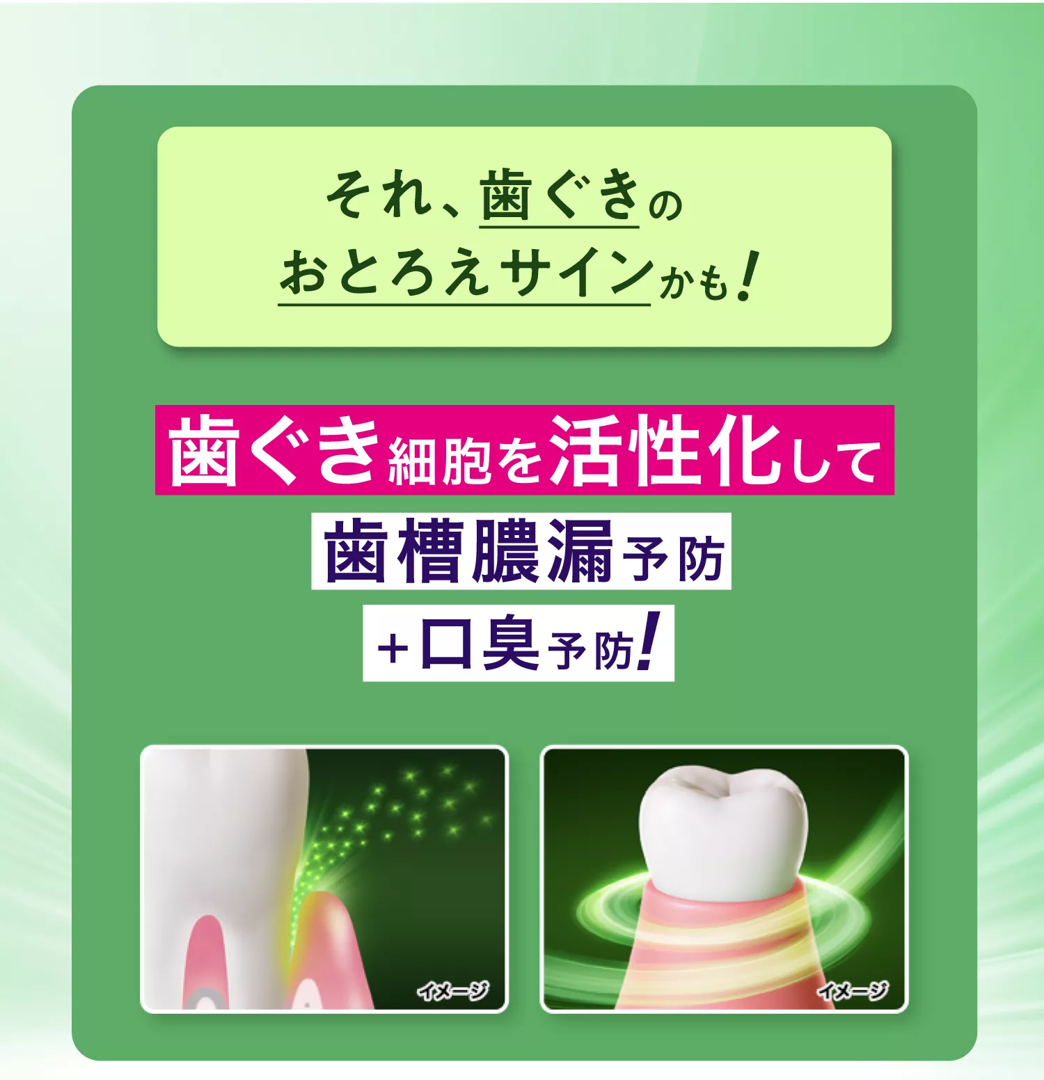 薬用ハミガキ つや出し美白 | ディープクリーン | 花王株式会社