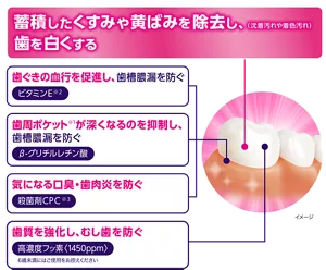 蓄積したくすみや黄ばみを除去し、 歯を白くする。歯ぐきの血行を促進し、歯槽膿漏を防ぐ。歯周ポケット  が深くなるのを抑制し、 歯槽膿漏を防ぐ。気になる口臭・歯肉炎を防ぐ。歯質を強化し、むし歯を防ぐ。