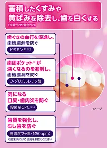 蓄積したくすみや黄ばみを除去し、 歯を白くする。歯ぐきの血行を促進し、歯槽膿漏を防ぐ。歯周ポケット  が深くなるのを抑制し、 歯槽膿漏を防ぐ。気になる口臭・歯肉炎を防ぐ。歯質を強化し、むし歯を防ぐ。