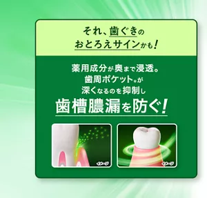 それ、歯ぐきのおとろえサインかも！ 薬用成分が奥まで浸透。歯周ポケット(＊)が深くなるのを抑制し歯槽膿漏を防ぐ！