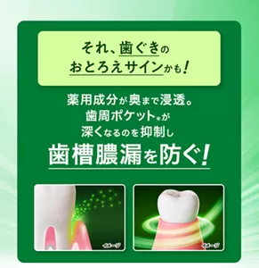 それ、歯ぐきのおとろえサインかも！ 薬用成分が奥まで浸透。歯周ポケット(＊)が深くなるのを抑制し歯槽膿漏を防ぐ！