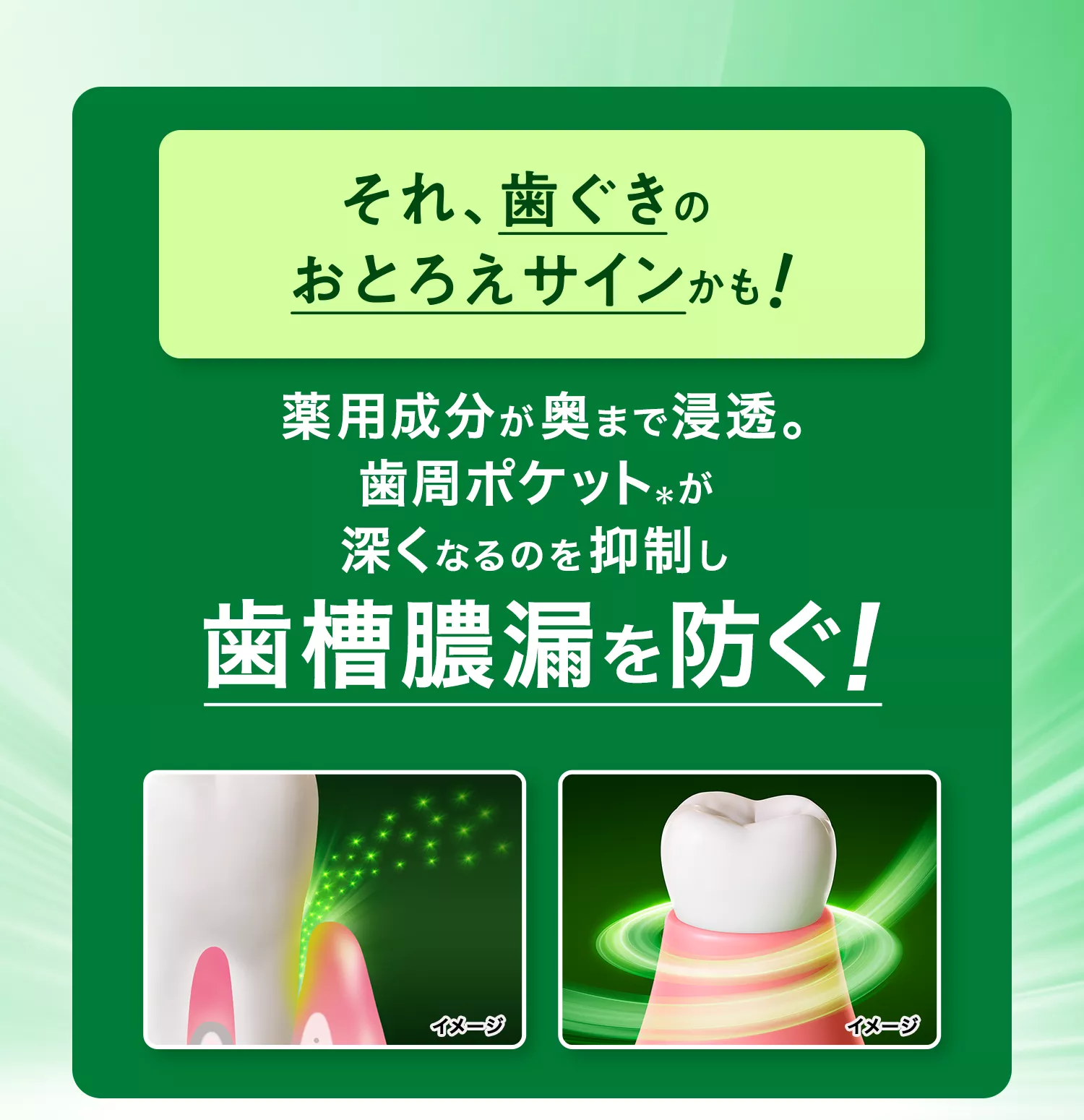 薬用ハミガキ つや美白 | ディープクリーン | 花王株式会社