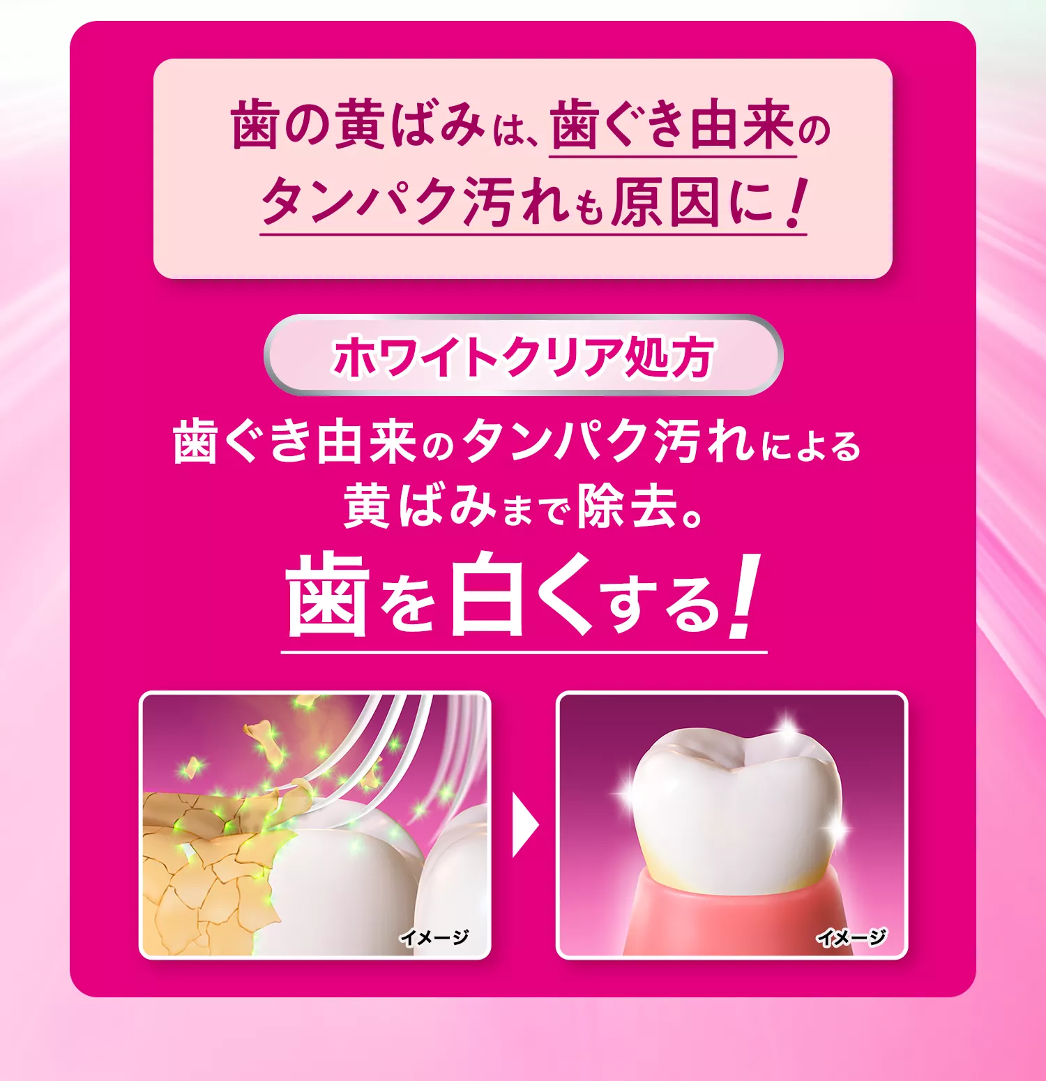 薬用ハミガキ つや美白 | ディープクリーン | 花王株式会社