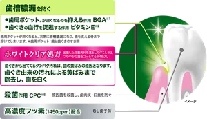 歯槽膿漏を防ぐ。歯周ポケット(＊)が深くなるのを抑える作用 BGA(※1)。歯ぐきの血行を促進する作用 ビタミンE(※2)。歯周ポケットが深くなると、次第に歯槽膿漏になり、歯を支える骨まで溶けてしまいます。（＊歯周ポケット：歯と歯ぐきのすき間。）／ホワイトクリア処方。固着した沈着汚れを落としやすくし(※3)、つややかな歯をコートする(※4)処方。歯ぐきから出てくるタンパク汚れは、歯の黄ばみの原因となります。歯ぐき由来の汚れによる黄ばみまで除去し、歯を白く。／殺菌作用 CPC(※5)。原因菌を殺菌し、歯肉炎・口臭を防ぐ。／高濃度フッ素（1450ppm）配合。むし歯予防