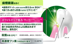 歯槽膿漏を防ぐ。歯周ポケット(＊)が深くなるのを抑える作用 BGA(※1)。歯ぐきの血行を促進する作用 ビタミンE(※2)。歯周ポケットが深くなると、次第に歯槽膿漏になり、歯を支える骨まで溶けてしまいます。（＊歯周ポケット：歯と歯ぐきのすき間。）／ホワイトクリア処方。固着した沈着汚れを落としやすくし(※3)、つややかな歯をコートする(※4)処方。歯ぐきから出てくるタンパク汚れは、歯の黄ばみの原因となります。歯ぐき由来の汚れによる黄ばみまで除去し、歯を白く。／殺菌作用 CPC(※5)。原因菌を殺菌し、歯肉炎・口臭を防ぐ。／高濃度フッ素（1450ppm）配合。むし歯予防