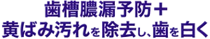 歯槽膿漏予防＋黄ばみ汚れを除去し、歯を白く