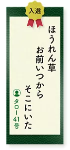 ほうれん草お前いつからそこにいた（タロー41号）