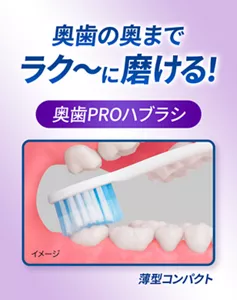 奥歯の奥までラク～に磨ける！ 奥歯PROハブラシ 薄型コンパクト