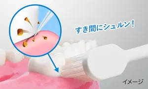 すき間にシュルン！