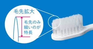 毛先のみが細いのが特長