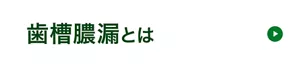 歯槽膿漏とは