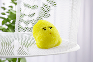 干されているエマールちゃん