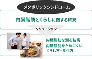 メタボリックシンドローム　内臓脂肪とくらしに関する研究