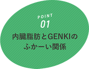 内臓脂肪とGENKIのふかーい関係