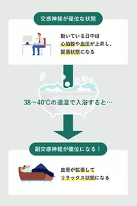 「38～40℃の適温で入浴すると…」の説明画像。交感神経が優位な状態：動いている日中は心拍数や血圧が上昇し、緊張状態になる／副交感神経が優位になる！：血管が拡張してリラックス状態になる