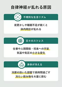 「自律神経が乱れる原因」の説明画像。不規則な生活リズム：夜更かしや睡眠不足が続くと体内時計が乱れる / 日々のストレス：仕事や人間関係・将来への不安、気温や気圧の小さな変化 / 身体が冷える：冷房の効いた部屋で長時間過ごす、冷たい飲み物を大量に飲む