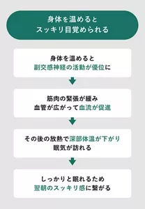 「身体を温めるとスッキリ目覚められる」の説明画像。身体を温めると副交感神経の活動が優位に→筋肉の緊張が緩み血管が広がって血流が促進→その後の放熱で深部体温が下がり眠気が訪れる→しっかりと眠れるため翌朝のスッキリ感に繋がる