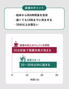 「昼寝のポイント」の説明画像。 / ・起床から約6時間後を目安・遅くても15時までに済ませる・30分以上は寝ない / 昼寝の前にカフェインを摂取：30分前後で覚醒効果が高まる、昼寝スタート：20～30分以内に起きる