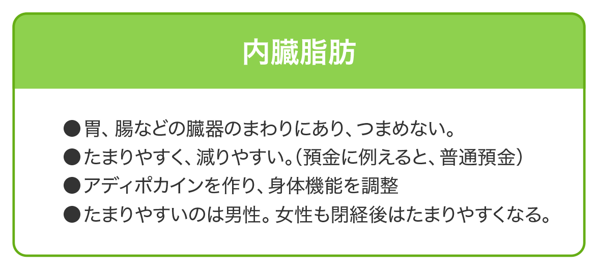 花王株式会社 内臓脂肪とは 体脂肪 皮下脂肪との違い 花王株式会社 内臓脂肪とは 体脂肪 皮下脂肪との違い