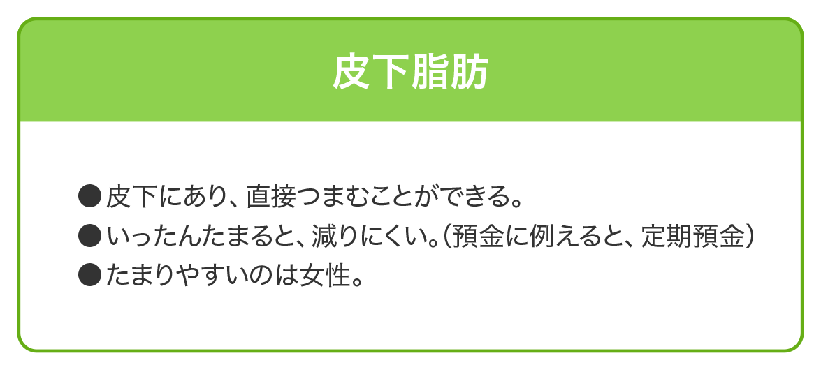花王株式会社 内臓脂肪とは 体脂肪 皮下脂肪との違い 花王株式会社 内臓脂肪とは 体脂肪 皮下脂肪との違い