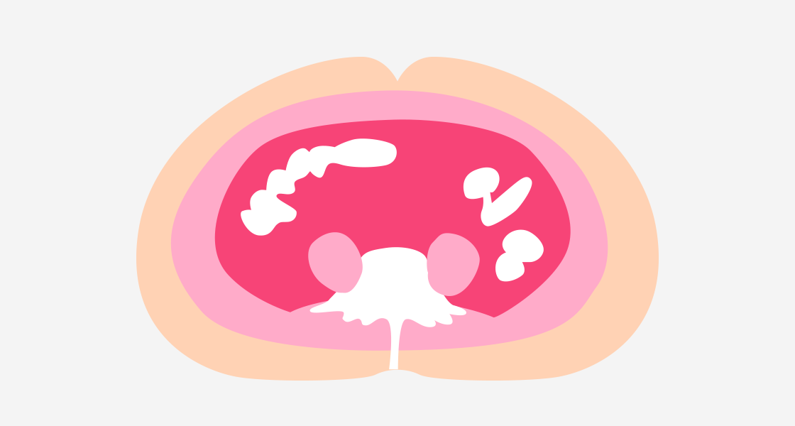 花王株式会社 内臓脂肪 体脂肪に気をつけたい