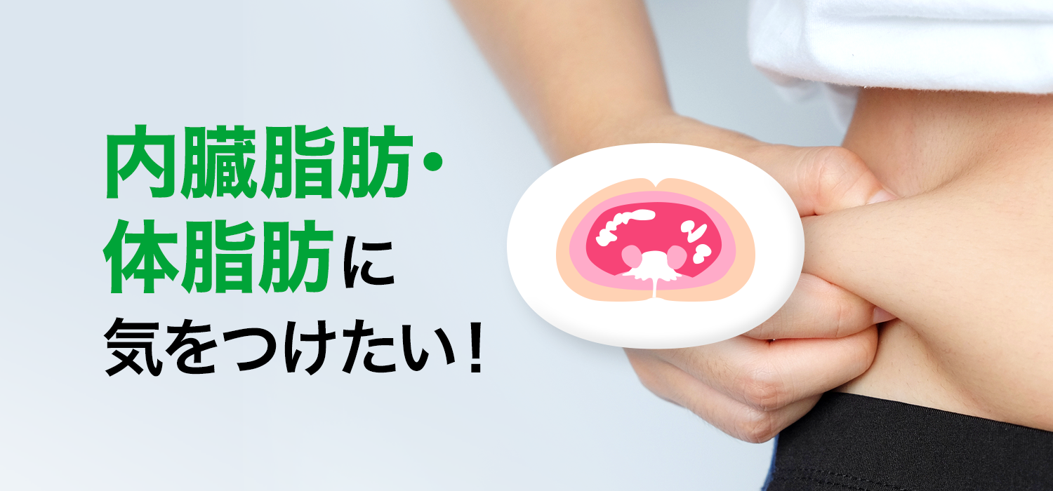 花王株式会社 内臓脂肪 体脂肪に気をつけたい 花王株式会社 内臓脂肪 体脂肪に気をつけたい
