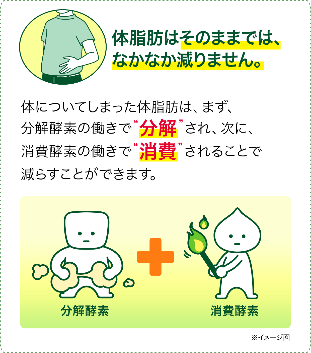 花王株式会社 ヘルシア Myリズム