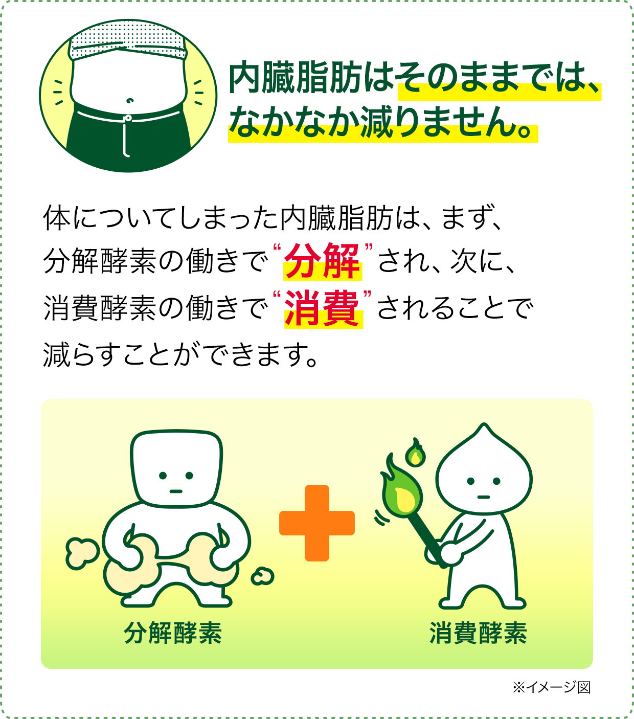 花王株式会社 ヘルシア 茶カテキンの力 花王株式会社 ヘルシア 茶カテキンの力